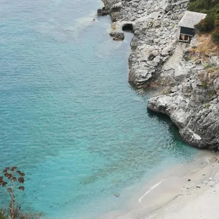 Cassiodoro *
